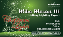 Holiday Lighting Business Cards